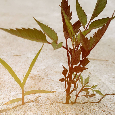 龙礼香，任职于县级宣传部的一名新闻干事，喜欢摄影。